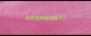 南京宠物医院兔子