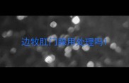 边牧肛门腺用处理吗