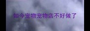 如今宠物宠物店不好做了
