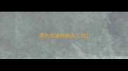 黑色泰迪狗狗多少钱