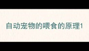 自动宠物的喂食的原理