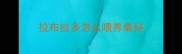 拉布拉多怎么喂养最好
