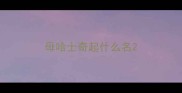母哈士奇起什么名