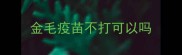 金毛疫苗不打可以吗