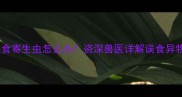 萨摩耶五个月误食寄生虫怎么办资深兽医详解误食异物紧急处理指南