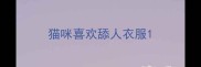 猫咪喜欢舔人衣服