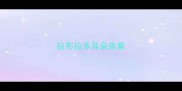 拉布拉多耳朵痒臭