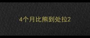 4个月比熊到处拉