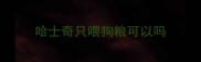 哈士奇只喂狗粮可以吗