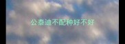公泰迪不配种好不好