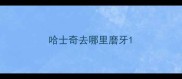 哈士奇去哪里磨牙