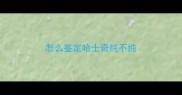 怎么鉴定哈士奇纯不纯