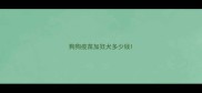 狗狗疫苗加狂犬多少钱