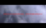 边境牧羊犬2月龄科学喂养指南如何科学搭配食物促生长