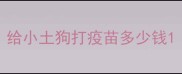 给小土狗打疫苗多少钱