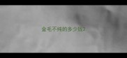 金毛不纯的多少钱