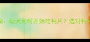 比熊犬科学补钙指南幼犬何时开始吃钙片选对钙片的方法与注意事项