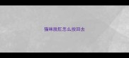 猫咪脱肛怎么按回去