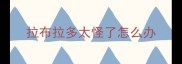 拉布拉多太怪了怎么办
