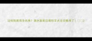 边牧到底有多优秀澳洲直采边境牧羊犬全攻略来了