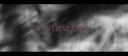 2个月的幼犬咬人