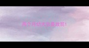两个月幼犬总是放屁
