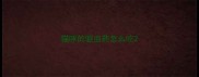 猫咪的驱虫药怎么吃