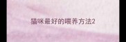 猫咪最好的喂养方法