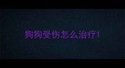 狗狗受伤怎么治疗