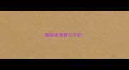 猫咪发情胃口不好