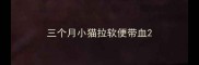 三个月小猫拉软便带血