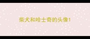 柴犬和哈士奇的头像