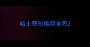 哈士奇拉稀喂食吗