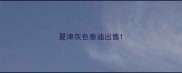 夏津灰色泰迪出售