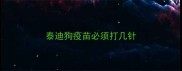 泰迪狗疫苗必须打几针