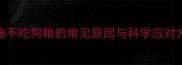 泰迪不吃狗粮的常见原因与科学应对方案
