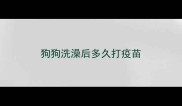 狗狗洗澡后多久打疫苗