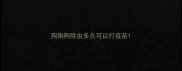 狗狗刚除虫多久可以打疫苗