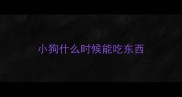 小狗什么时候能吃东西