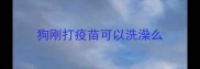 狗刚打疫苗可以洗澡么