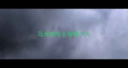 马犬和哈士奇哪个大