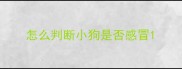 怎么判断小狗是否感冒