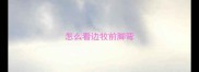 怎么看边牧前脚弯