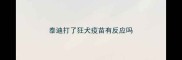 泰迪打了狂犬疫苗有反应吗