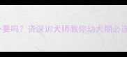 泰迪幼犬磨牙棒有必要吗资深训犬师教你幼犬期必选的5款磨牙棒推荐