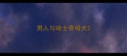 男人与哈士奇母犬