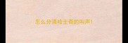 怎么分清哈士奇的叫声