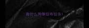 有什么狗像拉布拉多