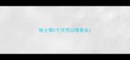 哈士奇5个月可以啃骨头