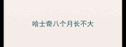 哈士奇八个月长不大
